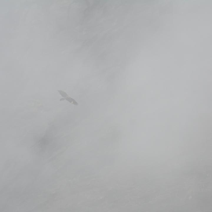 Johannes mitten im Nebel