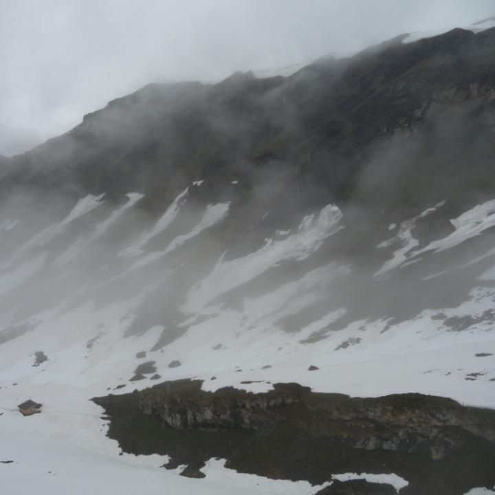 Infostand und Bartgeier-Nische im Nebel