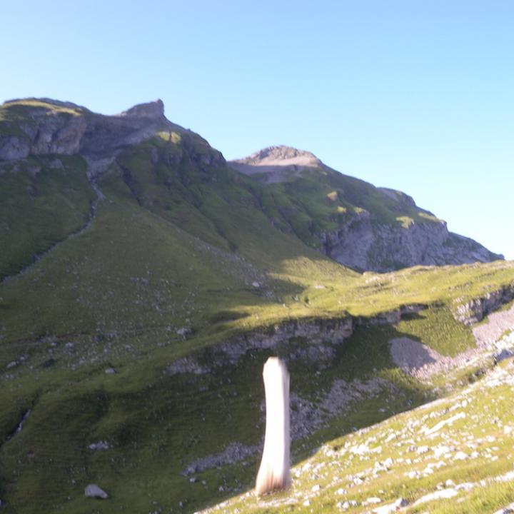 Johannes warf heute wiederholt einen Knochen ab, damit dieser in kleinere und schluckbare Teile zerfällt  (Situation nachgestellt).