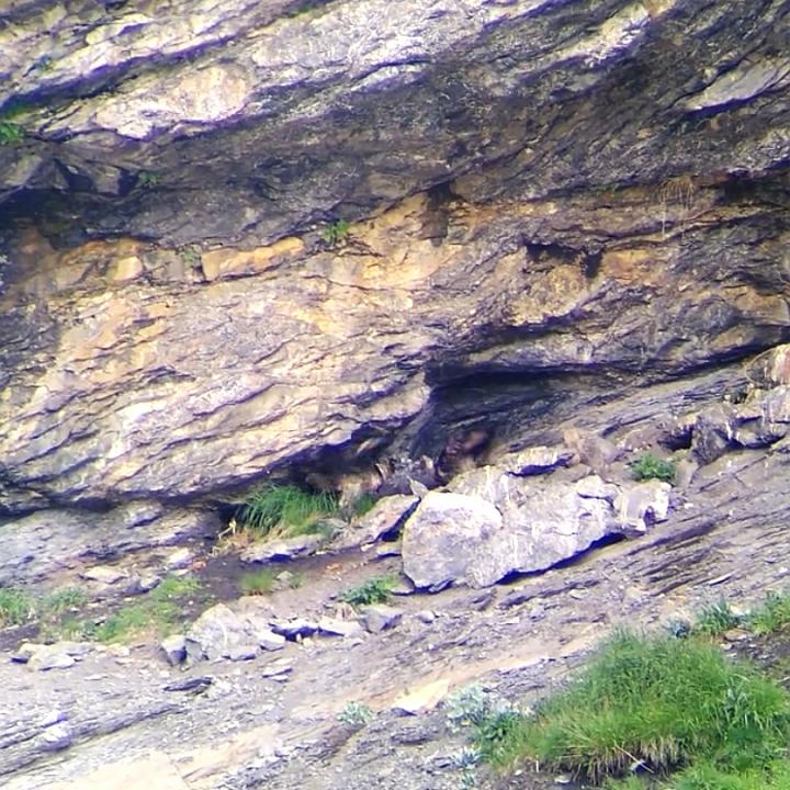 BelArosa (links) und Donna Elvira (rechts) bei Streitereien.