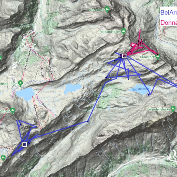 Karte mit GPS-Daten von BelArosa und Donna Elvira der letzten drei Tage