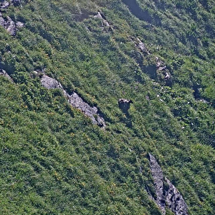 Aurora sitzt im Gras nach ihrem zweiten Flug gestern.