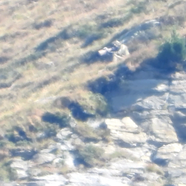 Wildtierfotograf, der sich an einen Bartgeierhorst annähert und damit diesen Brutplatz gefährdet.