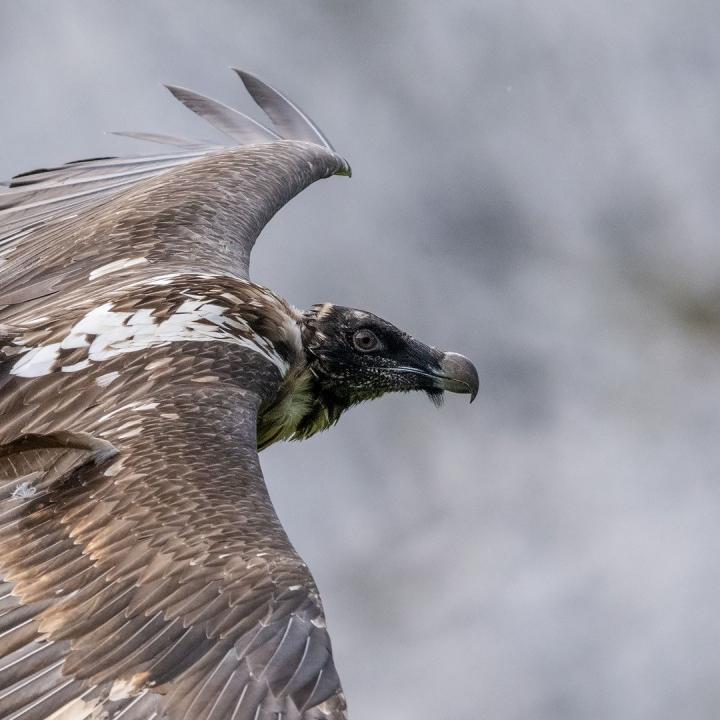 Auf in die Selbständigkeit (c)weyrichfoto.ch