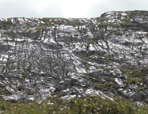 Das Karstgestein hinter der Beobachtungsstation glänzt silbrig.