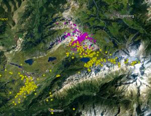 GPS Punkte im August von BelArosa (gelb) und Donna Elvira (pink)