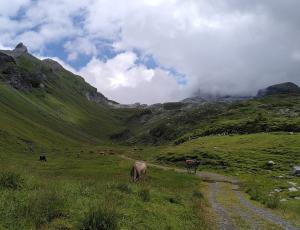 Henglihang mit dem Henglihorn links, der Graustock ist in Wolken gehüllt.