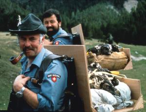 Premier lâcher de gypaètes barbus dans le Parc national suisse (c) Archives photographiques de la Fondation Pro Gypaète